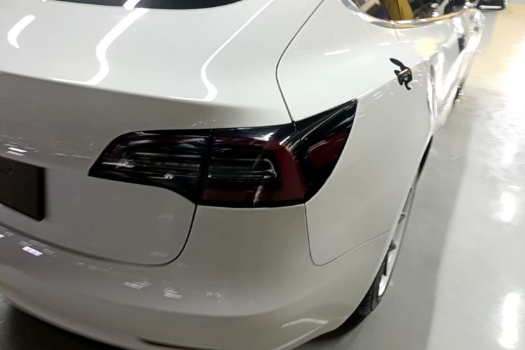 Tesla Model 3 2020 car image #8