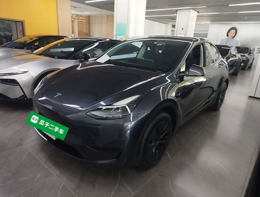 Tesla Model Y 2024 Tesla Model Y 2024 car image