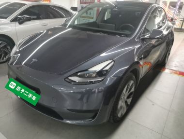 Tesla Model Y 2022 Tesla Model Y 2022 car image