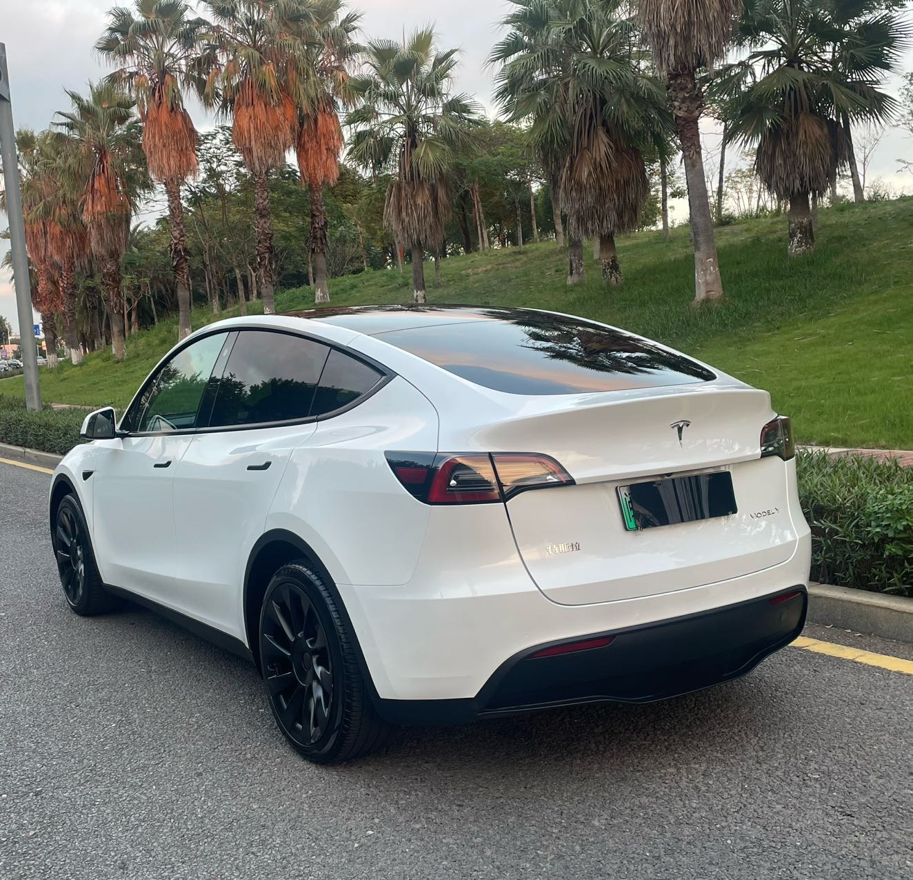 Tesla Model Y 2023 #5 Tesla Model Y 2023 car image #5