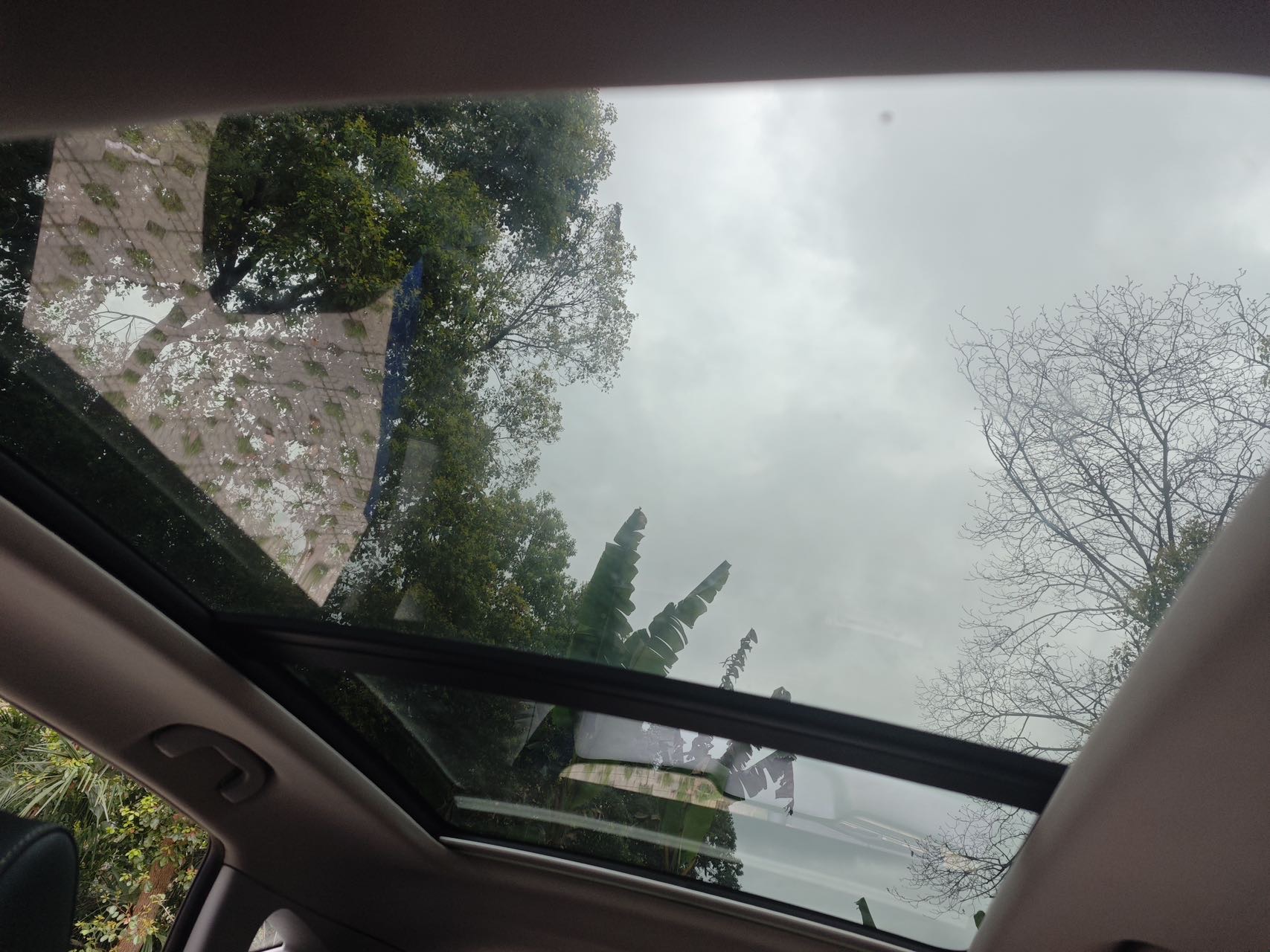 MG ZS 2019 immagine di auto #7