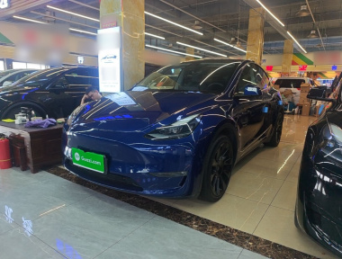 Tesla Model Y 2021 Tesla Model Y 2021 car image