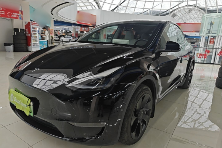 Tesla Model Y 2023 #2 Tesla Model Y 2023 car image #2
