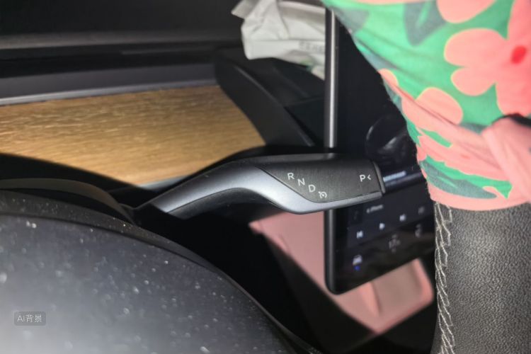 Tesla Model 3 2021 immagine di auto #16