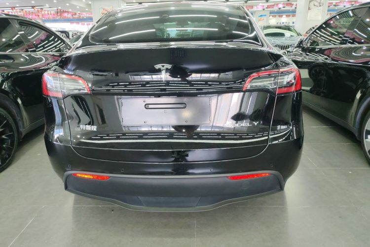 Tesla Model Y 2022 car image #6