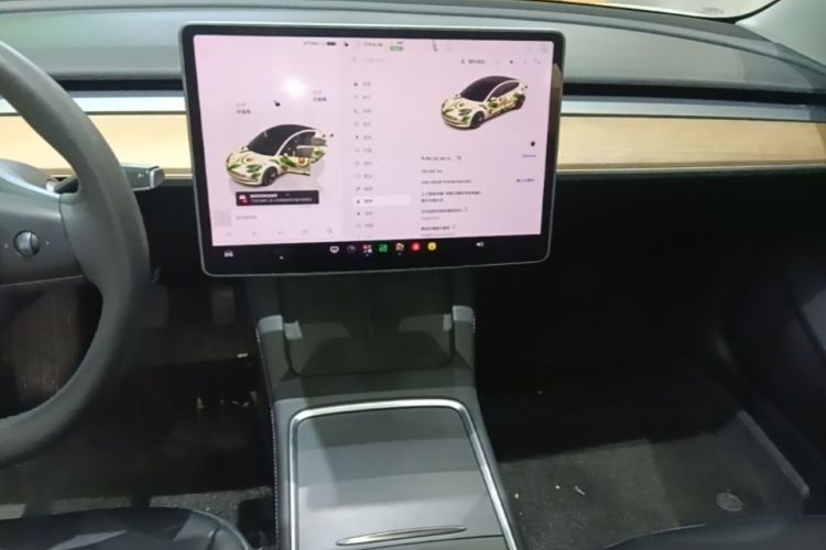 Tesla Model 3 2022 #13 Tesla Model 3 2022 immagine di auto #13
