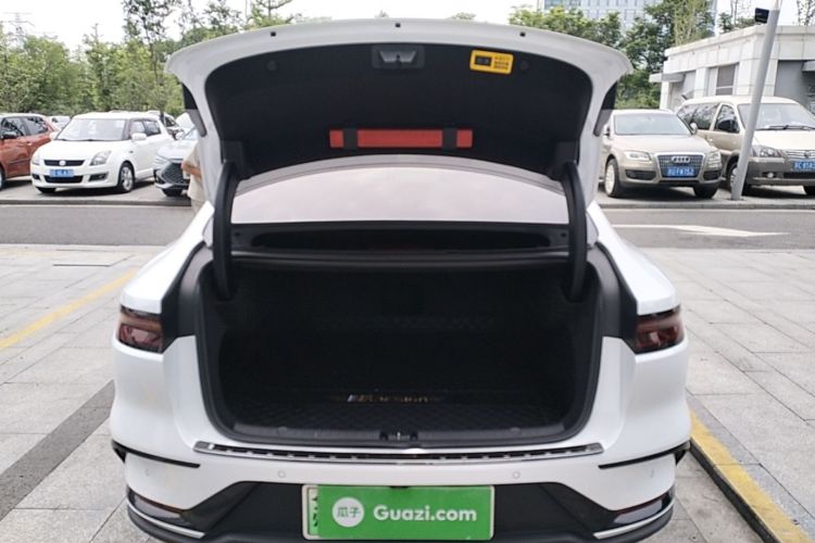 BYD Han 2022 car image #19