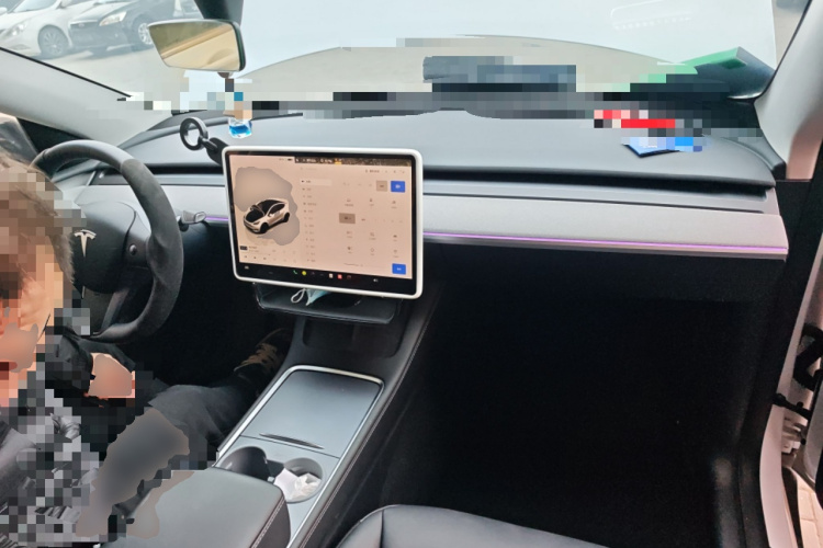 Tesla Model Y 2024 car image #12
