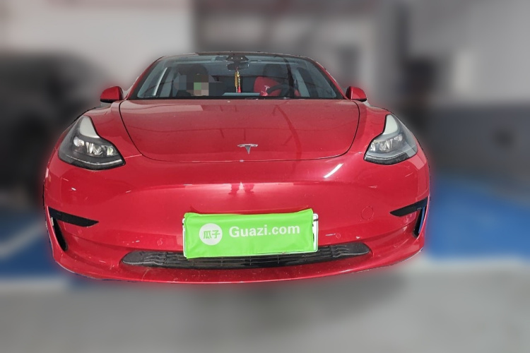 Tesla Model 3 2021 #3 Tesla Model 3 2021 car image #3