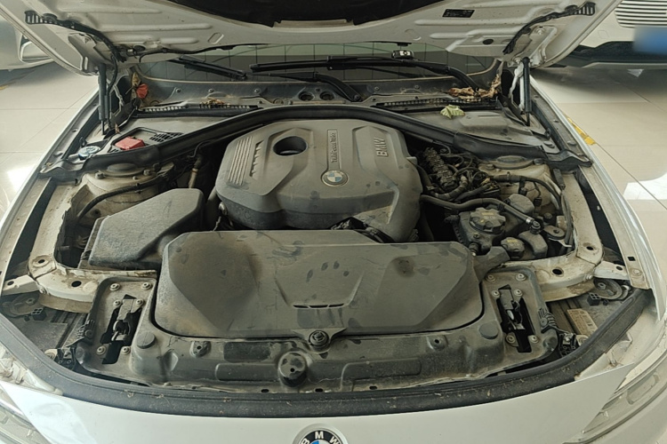 BMW 3 Series 2017 car image #20