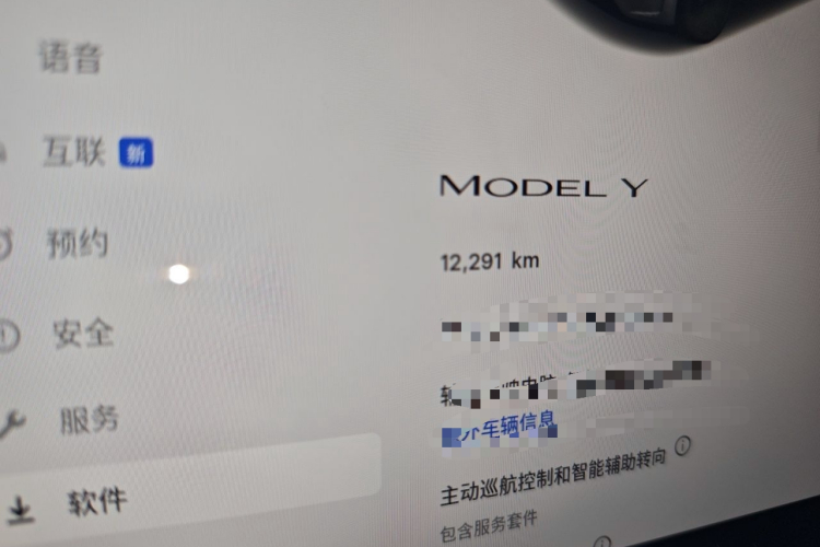 Tesla Model Y 2025 car image #8