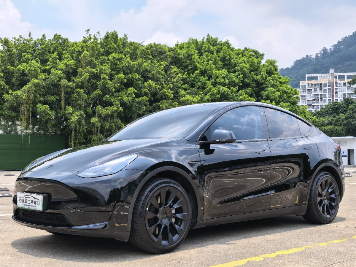 Tesla Model Y 2022 Tesla Model Y 2022 car image