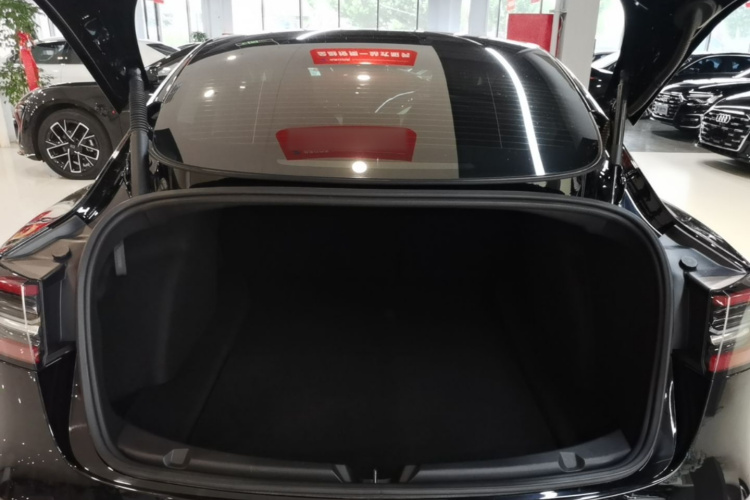 Tesla Model 3 2021 #19 Tesla Model 3 2021 car image #19