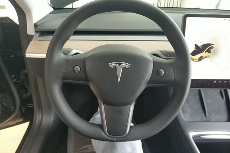 Tesla Model 3 2023 car image #15