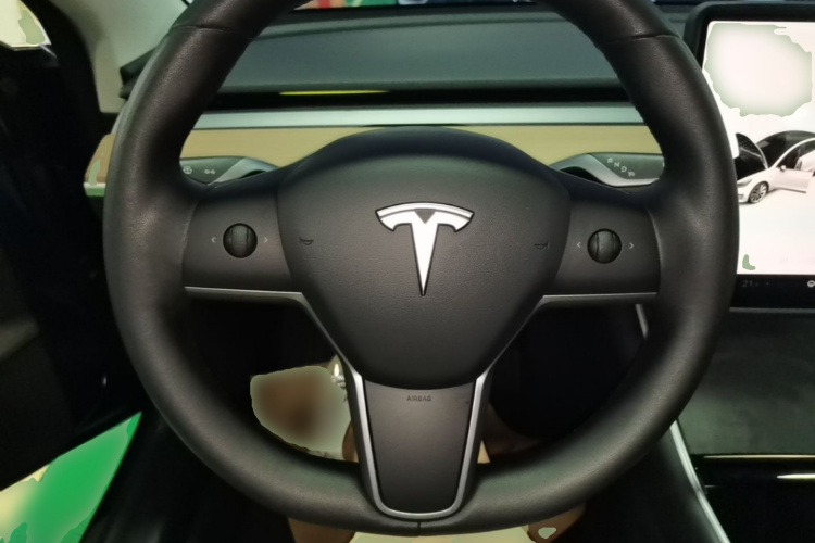 Tesla Model 3 2020 car image #11