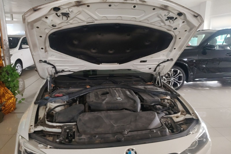 BMW 3 Series 2019 car image #20