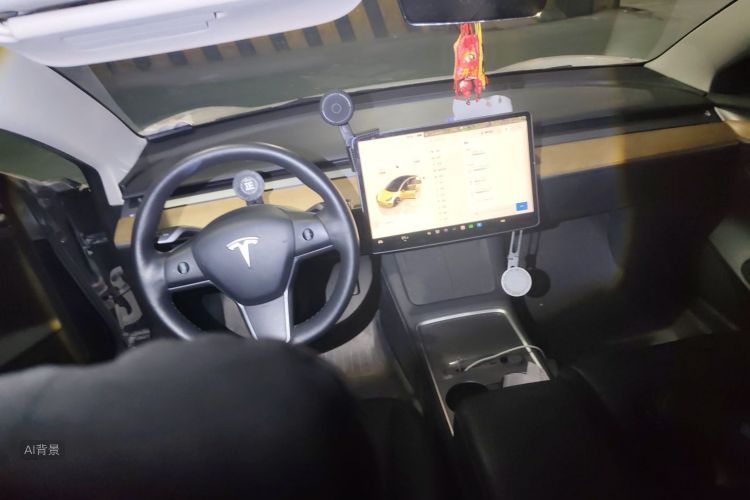 Tesla Model 3 2022 car image #11