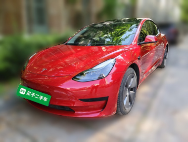 Tesla Model 3 2021 Tesla Model 3 2021 car image