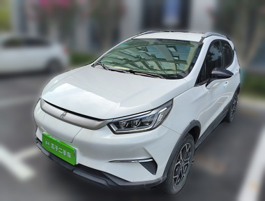 BYD Yuan Pro 2021 immagine di auto 