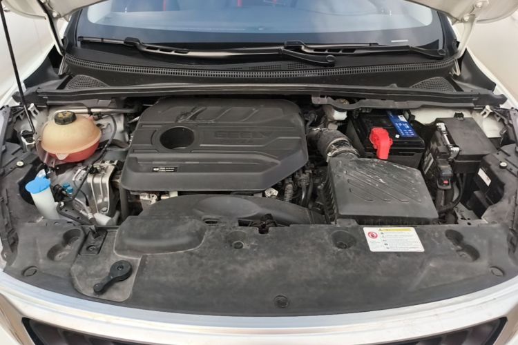 GEELY Emgrand GS 2021 #20 GEELY Emgrand GS 2021 car image #20