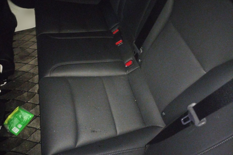 Tesla Model 3 2024 immagine di auto #10