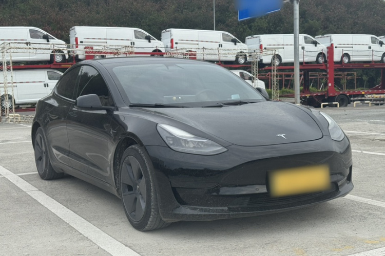 Tesla Model 3 2021 #10 Tesla Model 3 2021 car image #10