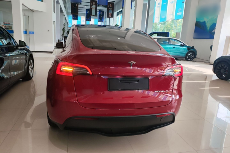 Tesla Model Y 2023 car image #6