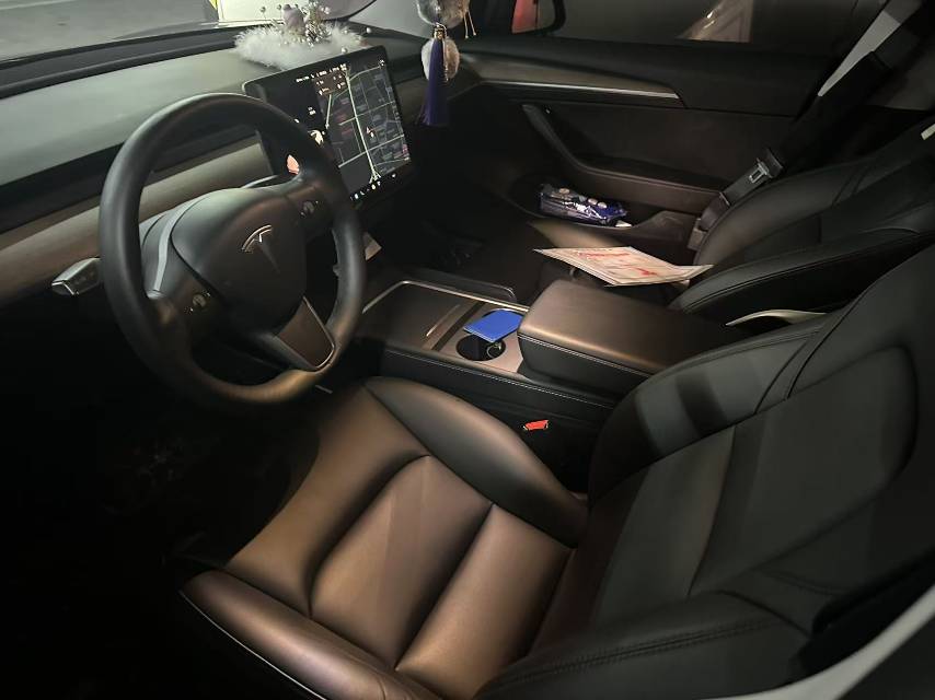 Tesla Model 3 2021 imagem de carro #3