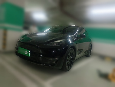 Tesla Model Y 2021 car image 