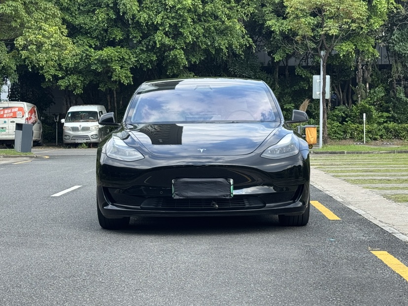 Tesla Model 3 2021 car image #2