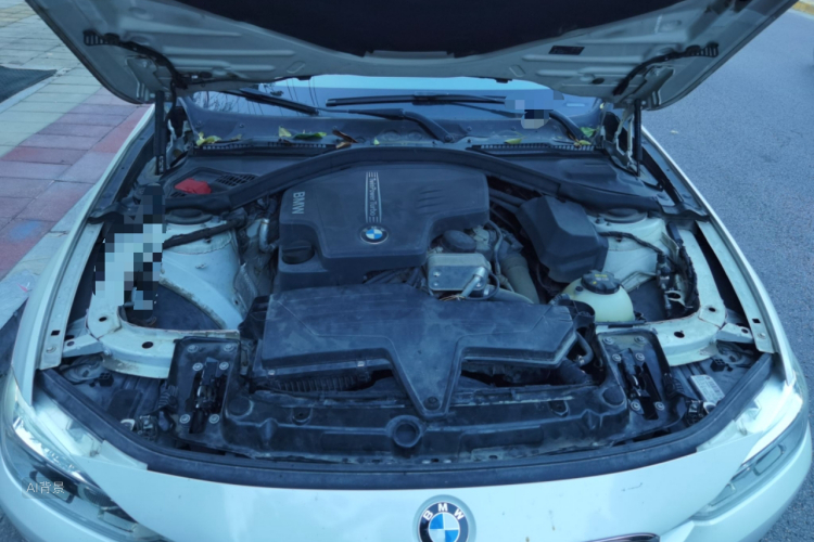BMW 3 Series 2015 car image #22