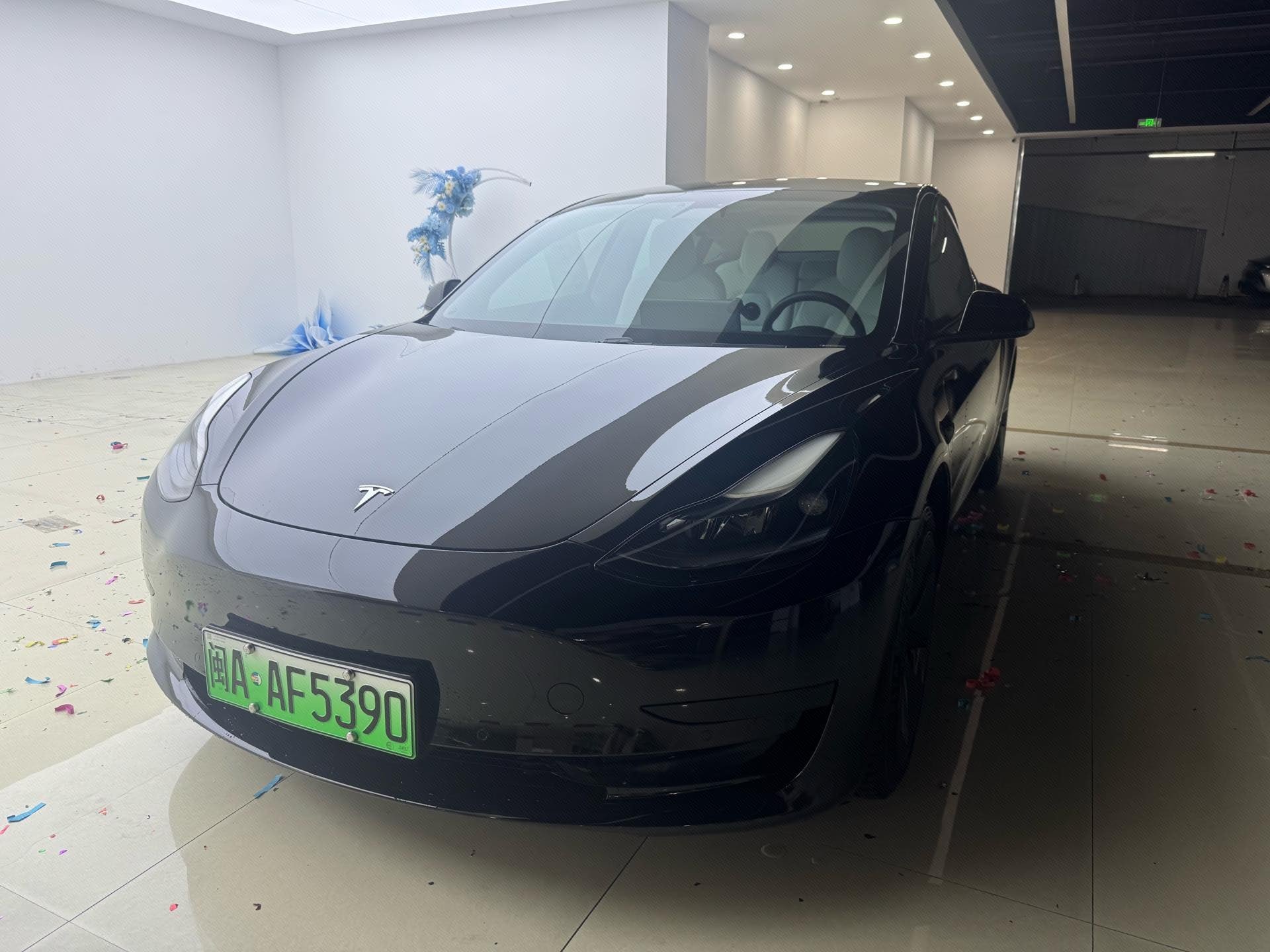 Tesla Model 3 2021 Tesla Model 3 2021 car image