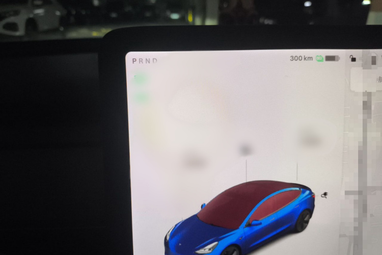 Tesla Model 3 2021 car image #16