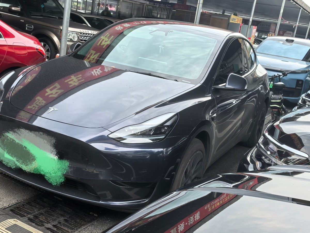 Tesla Model Y 2024 car image #2