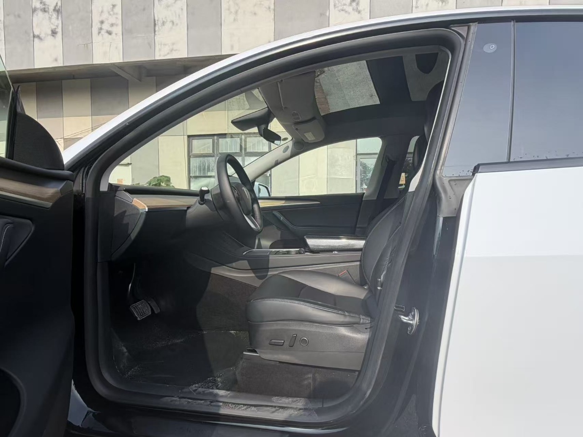 Tesla Model Y 2021 car image #9