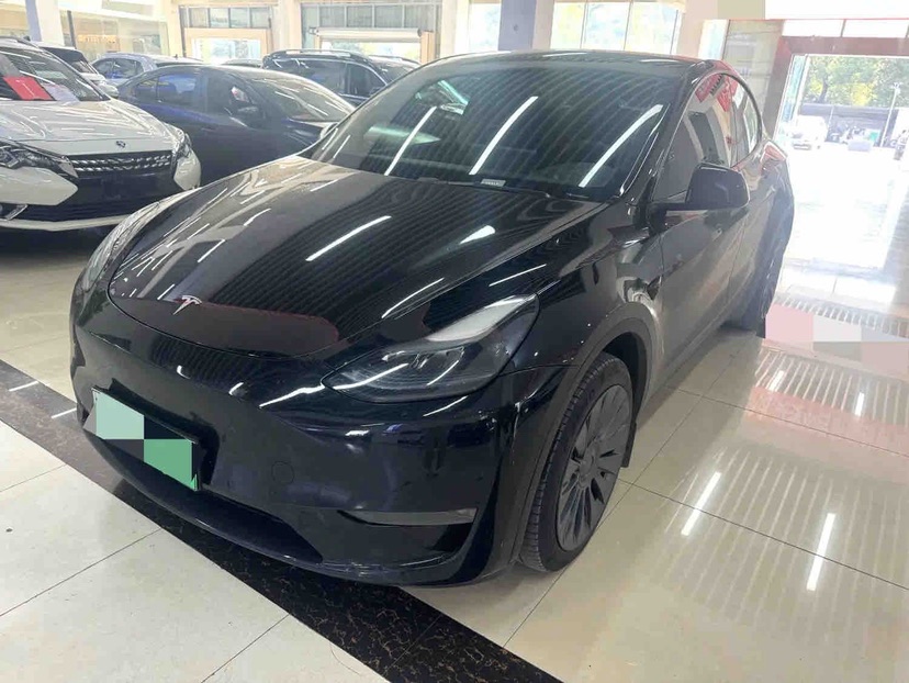 Tesla Model Y 2023 car image 