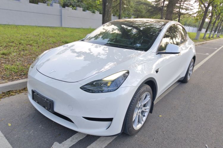Tesla Model Y 2022 immagine di auto #2