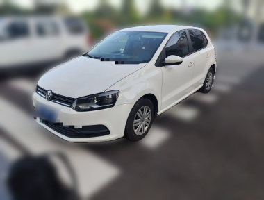 Volkswagen Polo 2015 car image 