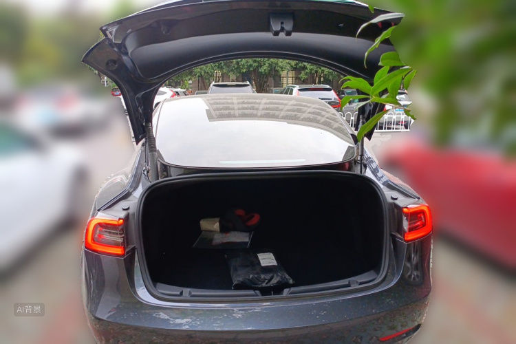 Tesla Model 3 2021 #21 Tesla Model 3 2021 car image #21