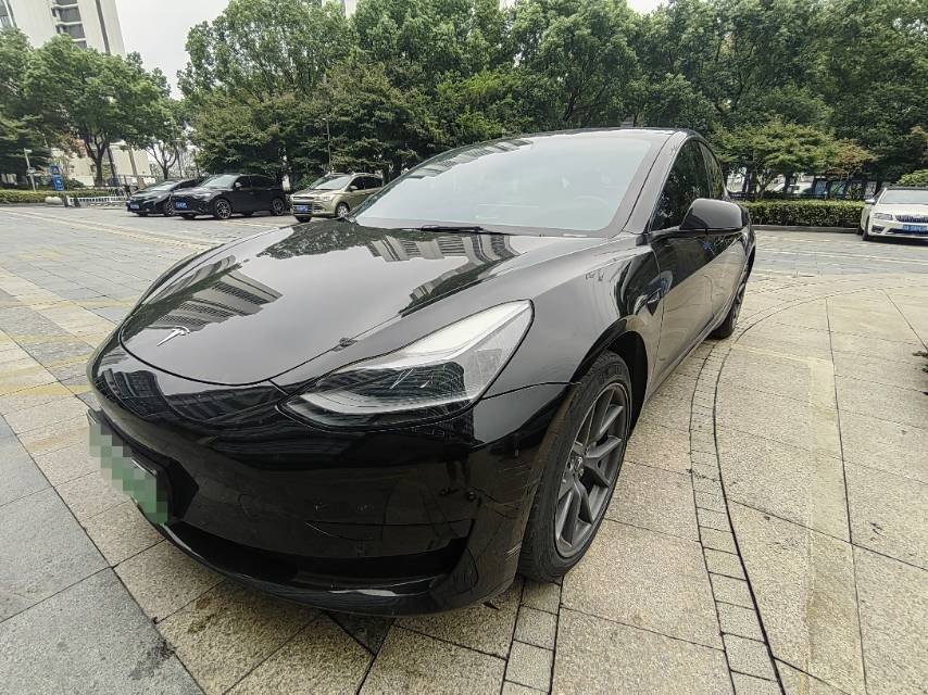 Tesla Model 3 2022 Tesla Model 3 2022 car image