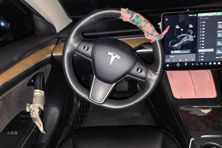 Tesla Model 3 2021 immagine di auto #12