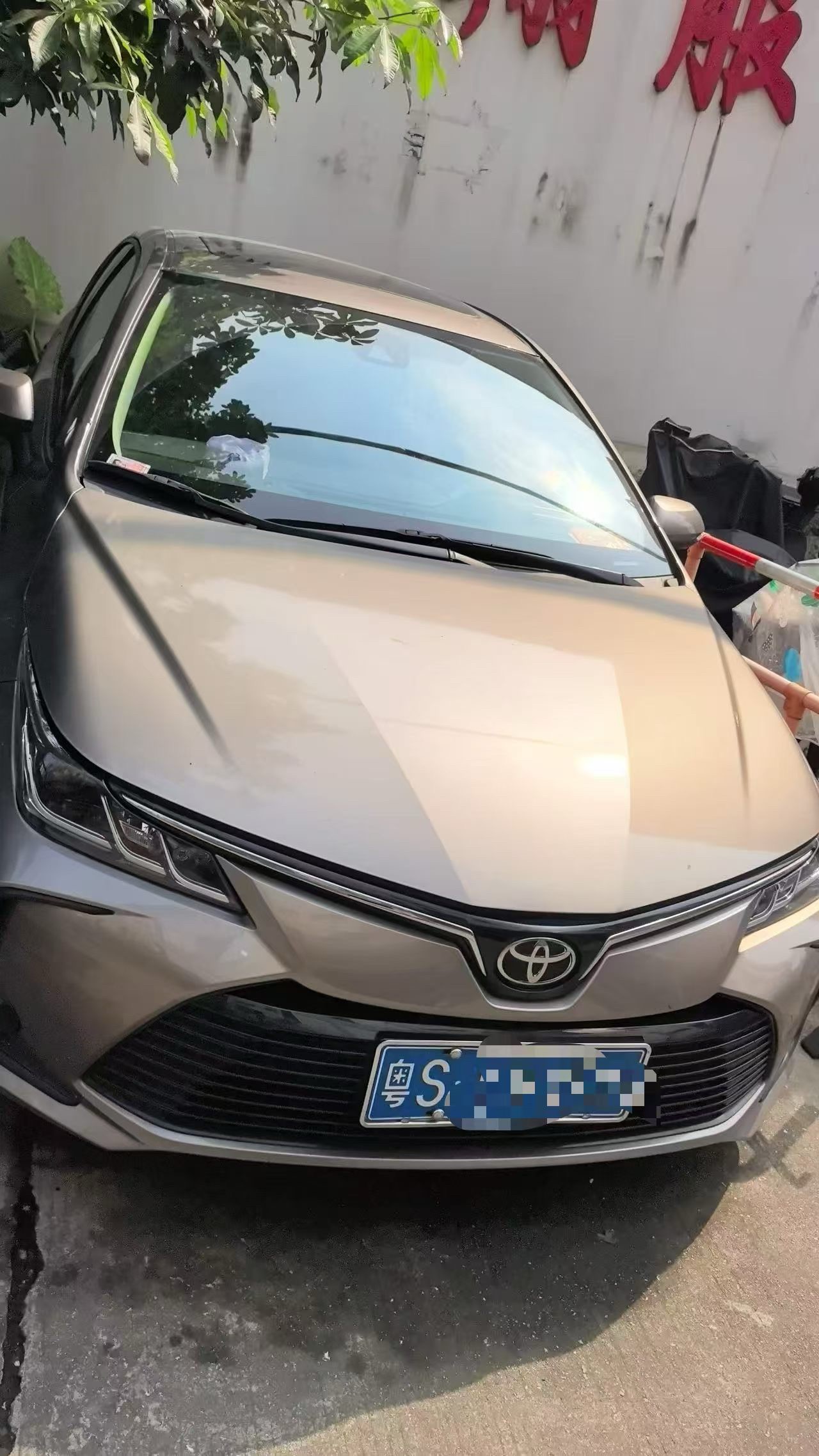 Toyota Corolla 2023 #3 Toyota Corolla 2023 car image #3