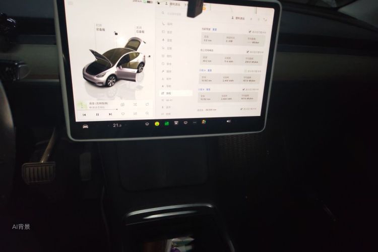 Tesla Model Y 2022 car image #15