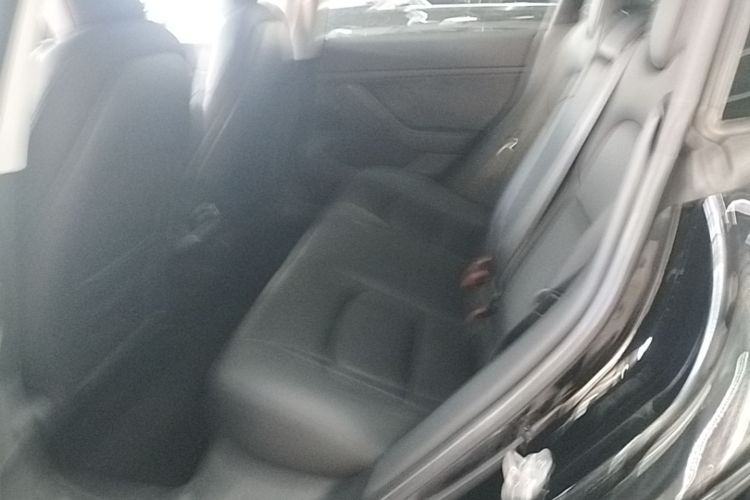 Tesla Model 3 2020 immagine di auto #17