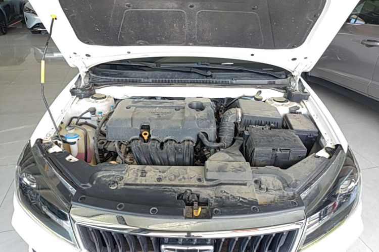 GEELY Emgrand 2021 immagine di auto #22