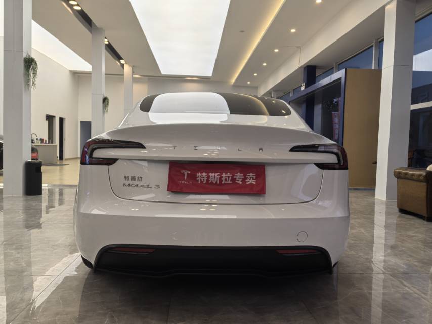 Tesla Model 3 2025 car image #8