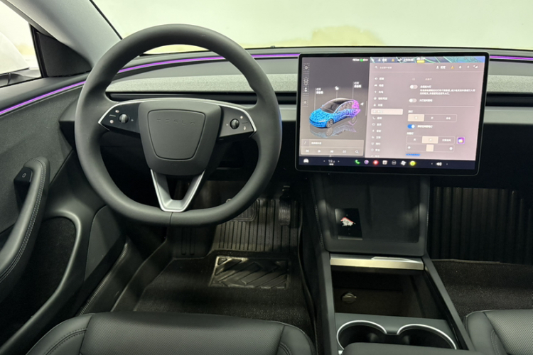 Tesla Model 3 2025 car image #14