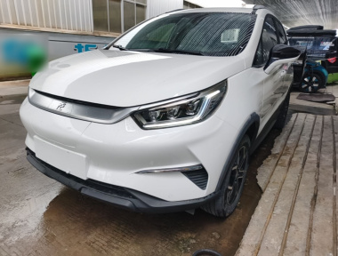 BYD Yuan Pro 2022 car image 