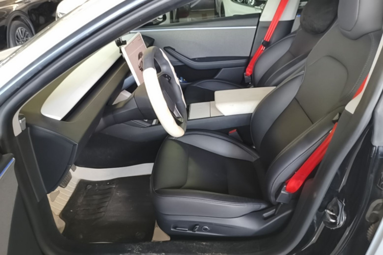 Tesla Model 3 2024 car image #15