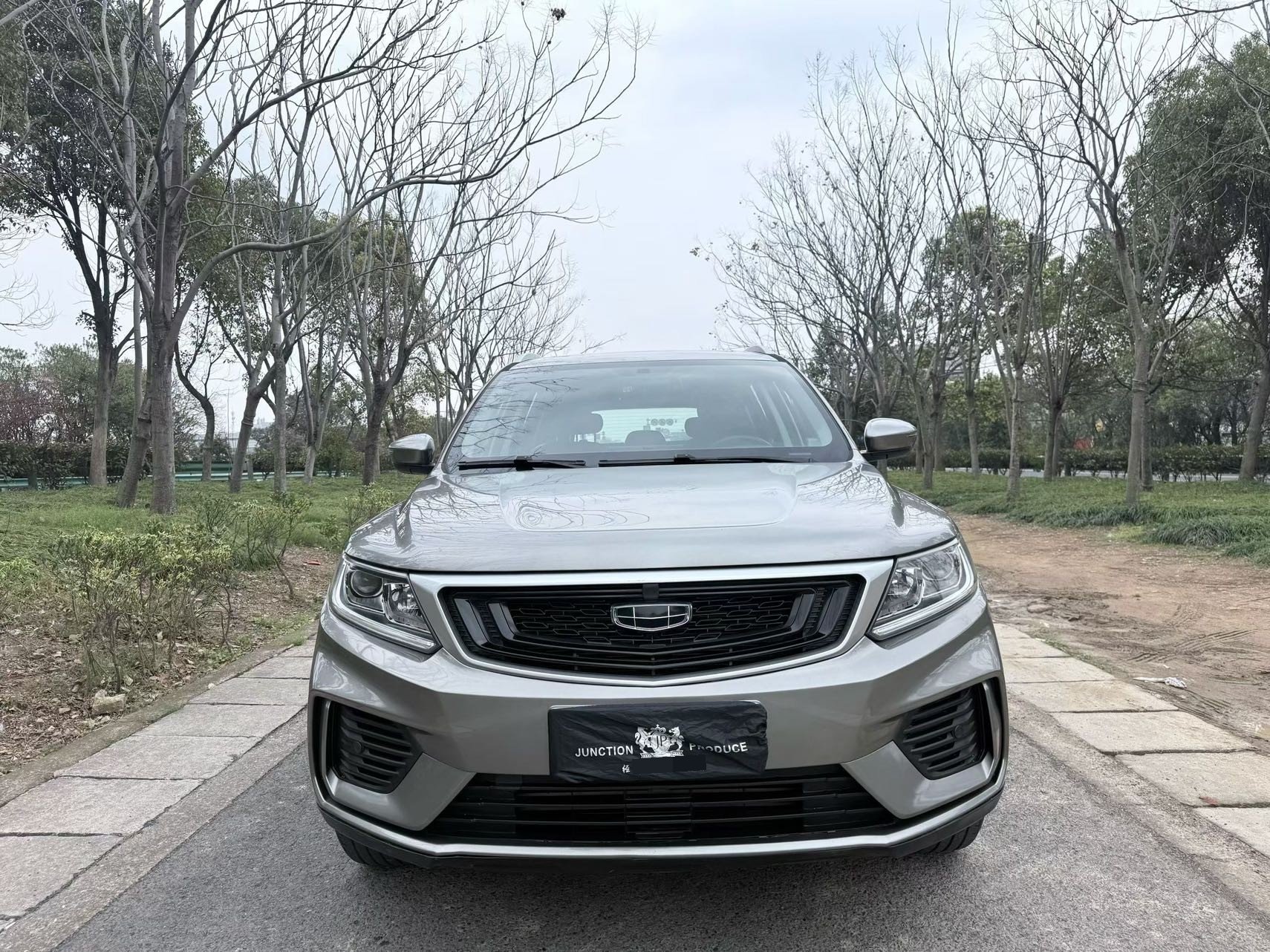 GEELY Vision X6 2021 car image #2
